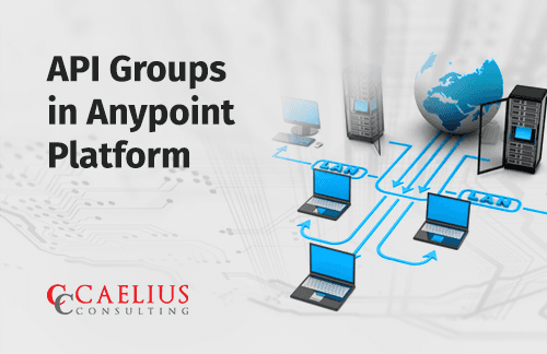 API Groups in Anypoint Platform