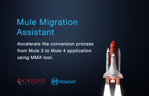 Mule Migration Assistant