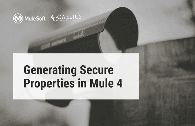 Generating Secure Properties in Mule 4