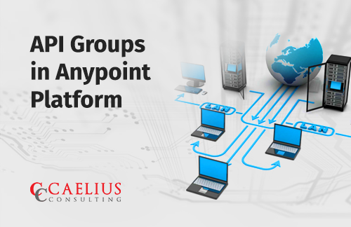 API groups in Anypoint Platform