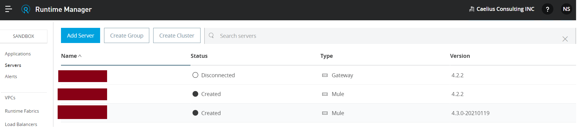 Standalone Runtime server 