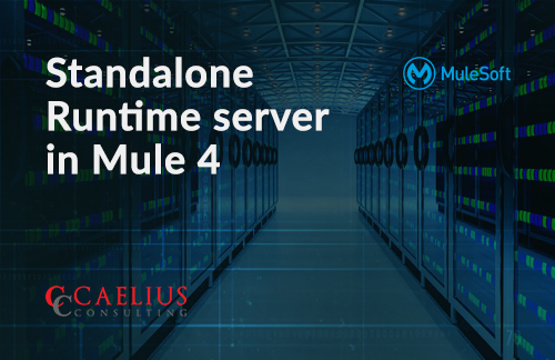 Standalone Runtime server in Mule