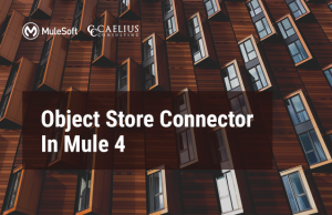 Object Store Connector In Mule 4
