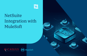 NetSuite Integration using MuleSoft