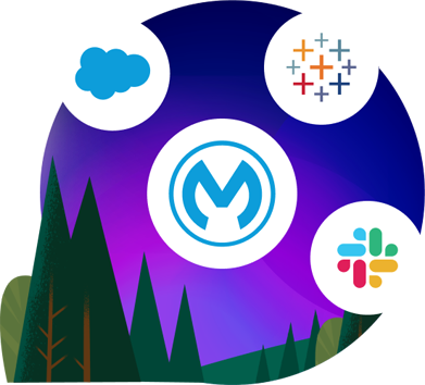 mulesoft services